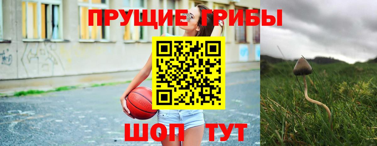 Псилоцибиновые грибы GOLDEN TEACHER  Галлюциногенные грибы MAGIC MUSHROOMS  Иваново  Вход с VPN 